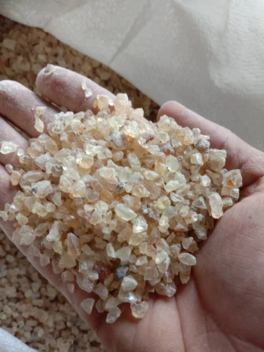 Gum Copal DBB