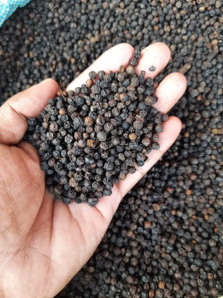 Black Pepper (500GL)